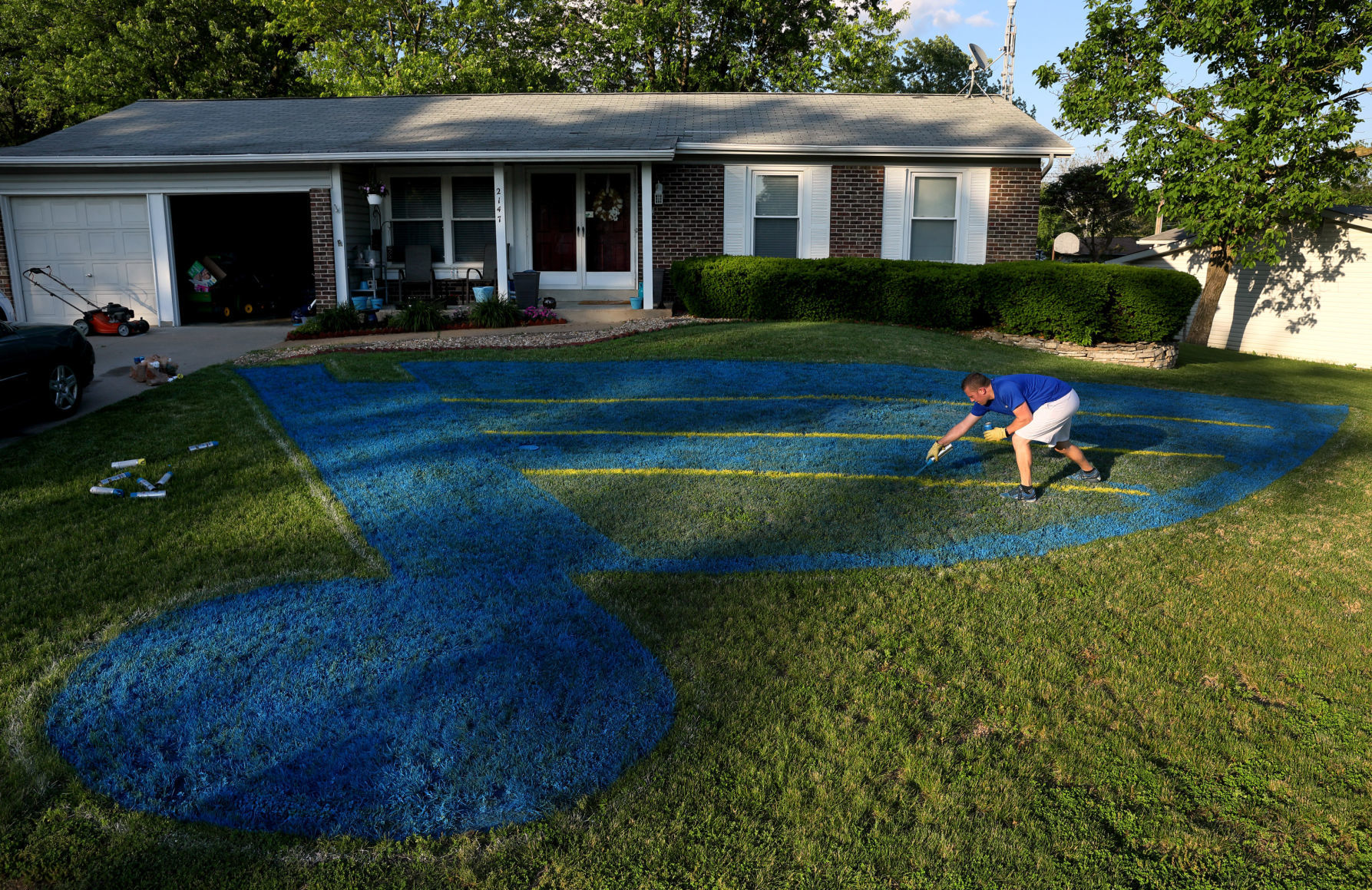 St. Louis Blues fan paints his yard with logo